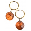 tortoiseshell